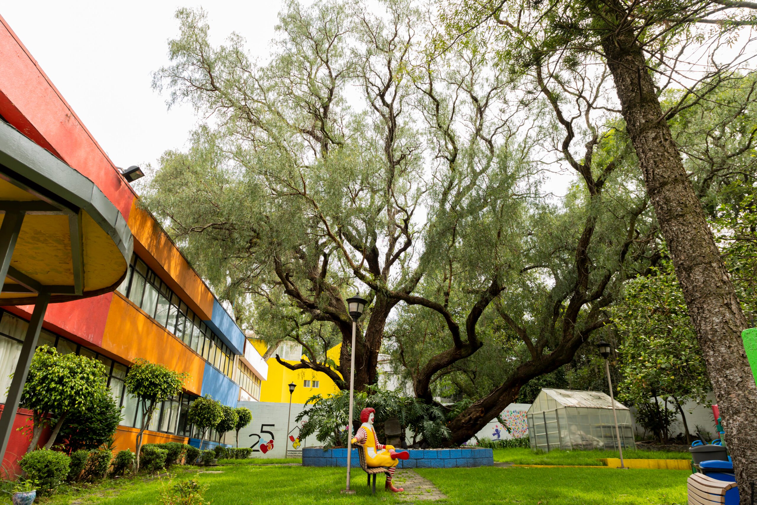 austin-smiles-medical-mission-trips-upcoming